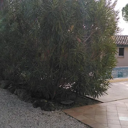 Villa Belle Bastide Du Midi Campagnan